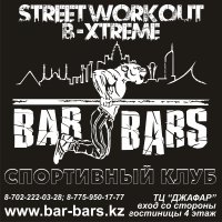 Street Workout Bar Bars