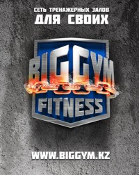 BIG GYM fitness